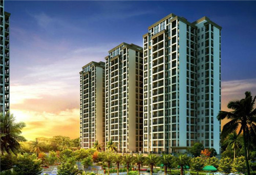 年轻的鸡即鲍汁焖鸡