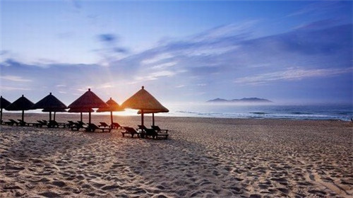 麦地初茶网红茶饮