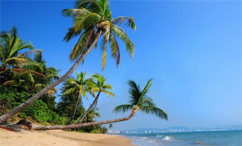 揭秘贵阳喜堡西餐咖啡店加盟优势与机会