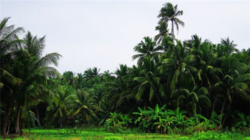 水果店创业的经营目标怎么写，水果店创业的经营目标怎么写好