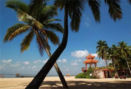 餐饮设计师老板怎么称呼