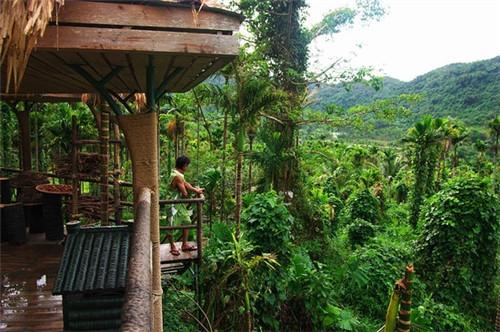 仙居县创业冷藏车哪些项目比较好