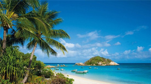 老八吃的十大美食是什么（老八吃美食合集）